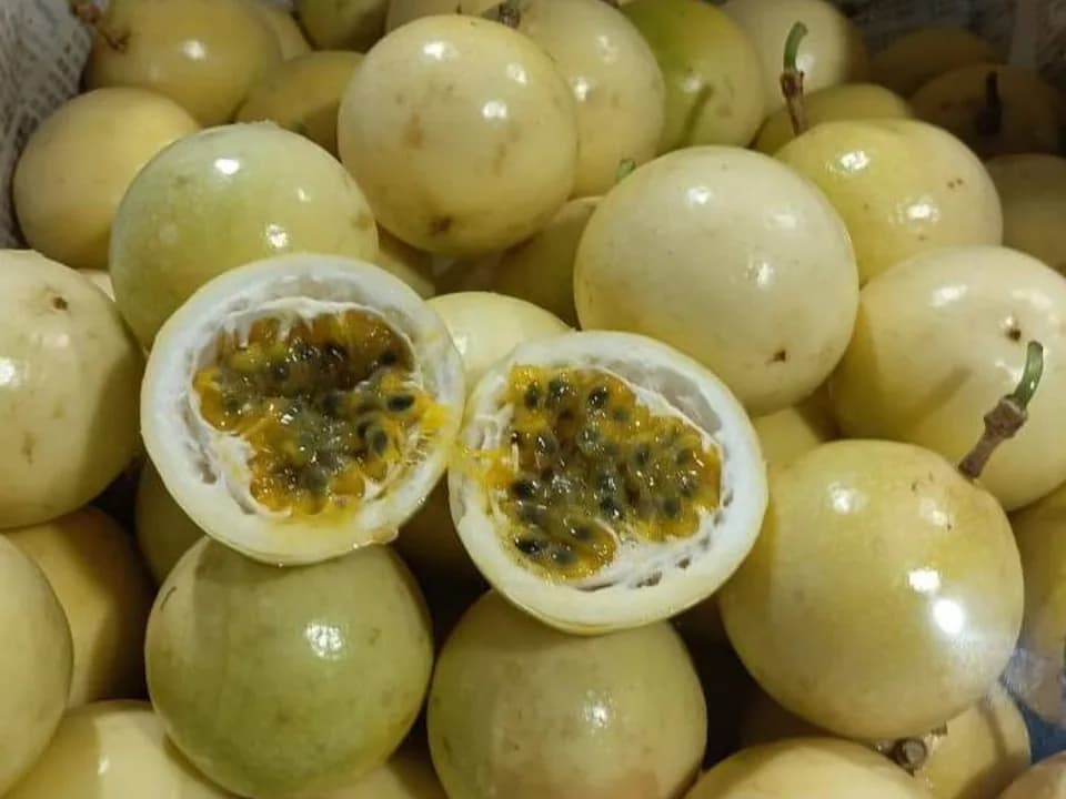 Маракуйя Желтая