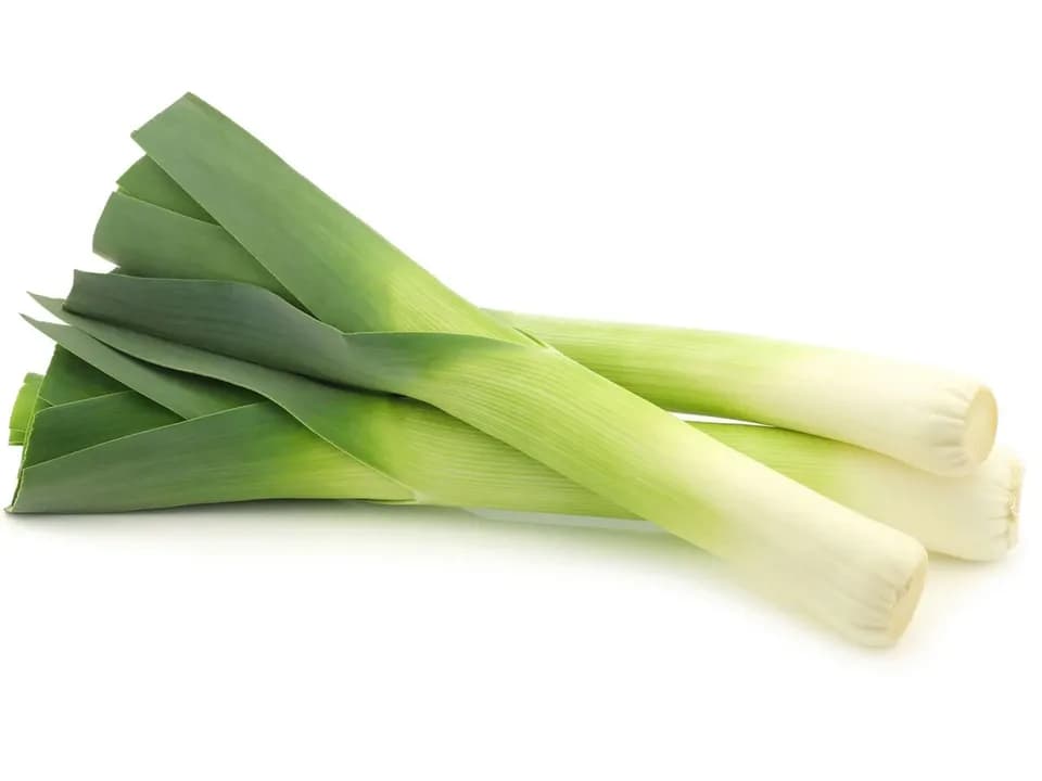 Лук порей