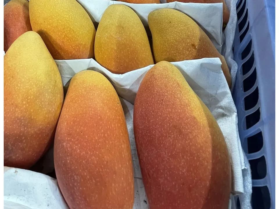 Манго "Розовый Кайф"