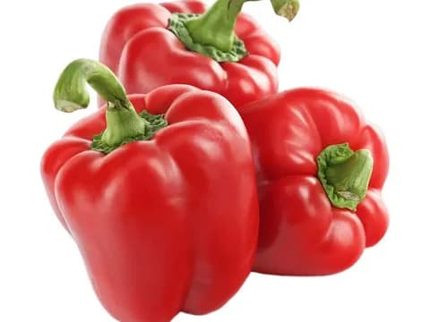 Перец Болгарский