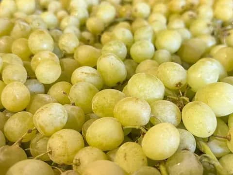 Виноград Кишмиш зелёный
