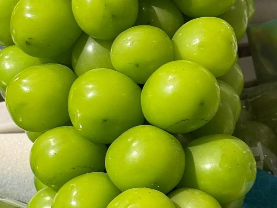 Виноград мускат