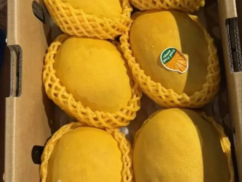 Манго Кейт Азия