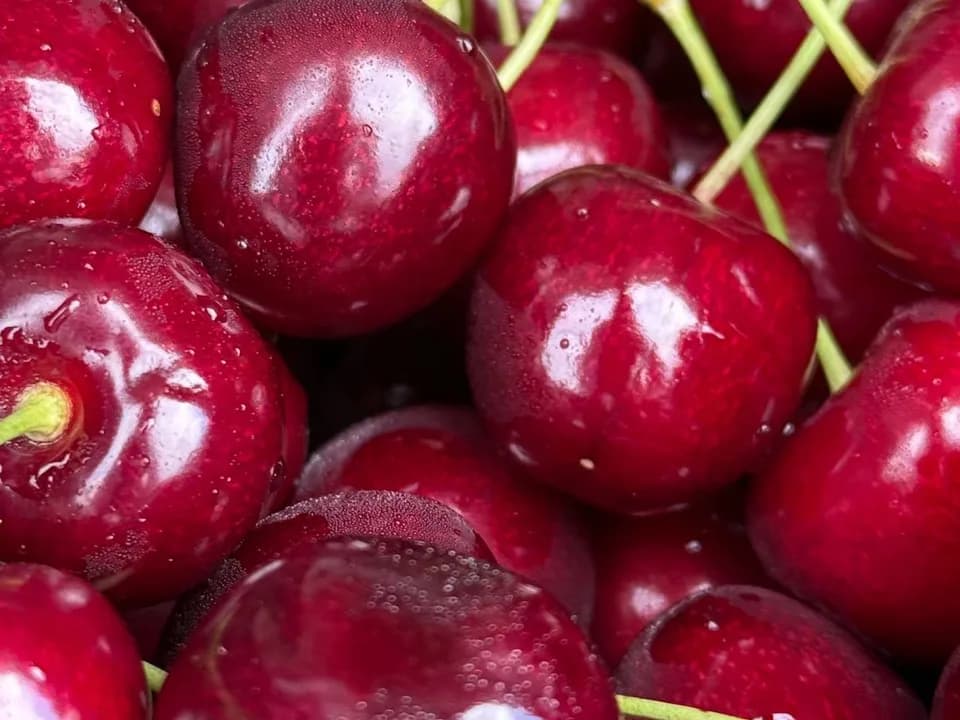 Черешня Сладкая